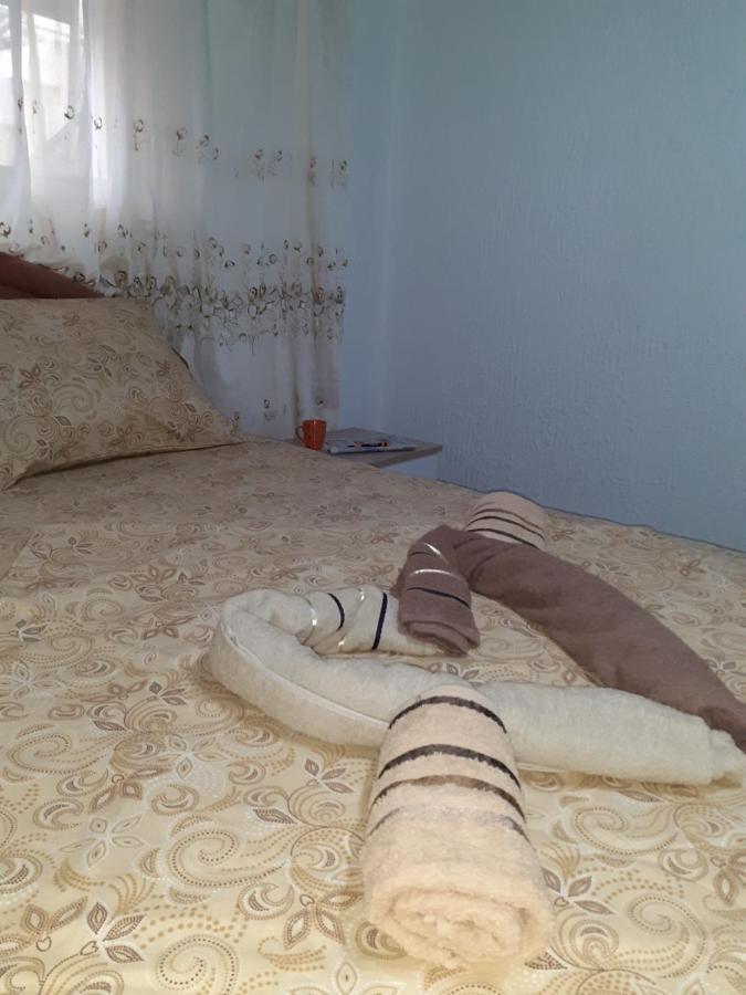 Studio-Apartman Milena 2 Podgorica Exterior photo